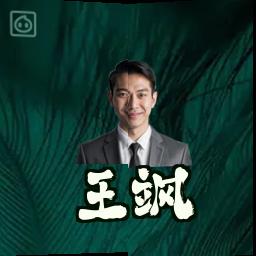 王飒