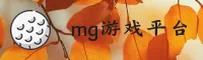 使用指南与常见问题